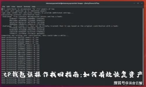 tP钱包误操作找回指南：如何有效恢复资产
