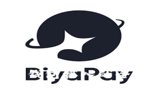 区块链钱包接入的全面指南