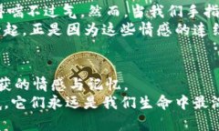   重温青春：T P钱包旧卡的