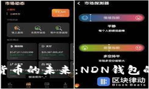 探索数字货币的未来：NDN钱包的使用指南