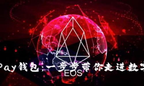 如何创建QKPay钱包：一步步带你走进数字支付新时代