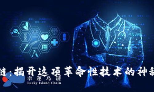 区块链：揭开这项革命性技术的神秘面纱