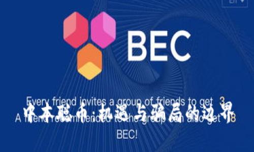 中本聪币：机遇与骗局的边界