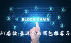 虚拟币NFT存储：最适合的