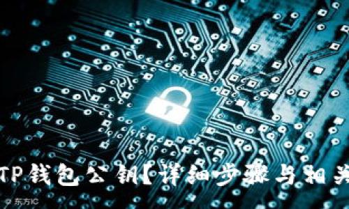 :

如何查看TP钱包公钥？详细步骤与相关问题解答