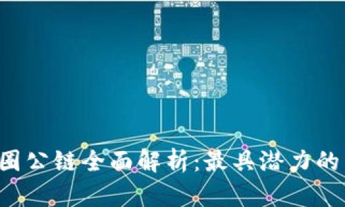 2023年币圈公链全面解析：最具潜力的区块链项目