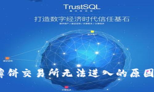 : t p钱包薄饼交易所无法进入的原因及解决方案