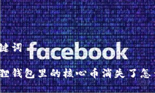 和关键词

小狐狸钱包里的核心币消失了怎么办？