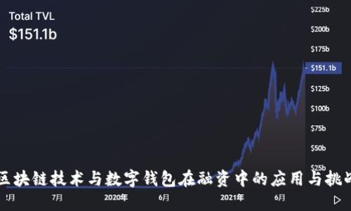 区块链技术与数字钱包在融资中的应用与挑战